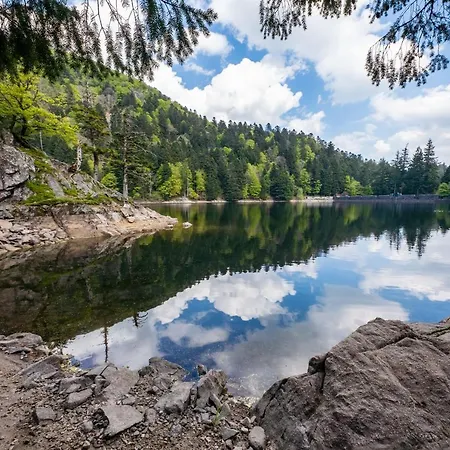 シャレー Le Du Tanet Sauna Terrasse En Alsace