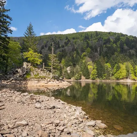 シャレー Le Du Tanet Sauna Terrasse En Alsace *