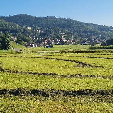 Chalet Le Du Tanet Sauna Terrasse En Alsace *