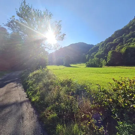 Le Du Tanet Sauna Terrasse En Alsace Soultzeren