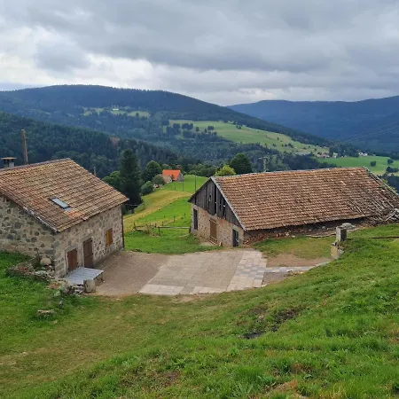 Le Du Tanet Sauna Terrasse En Alsace Chalet