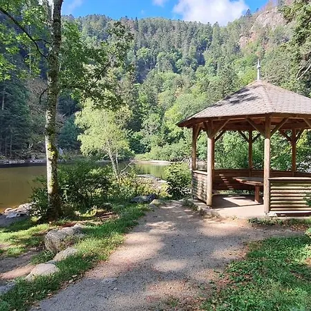 Le Du Tanet Sauna Terrasse En Alsace Soultzeren