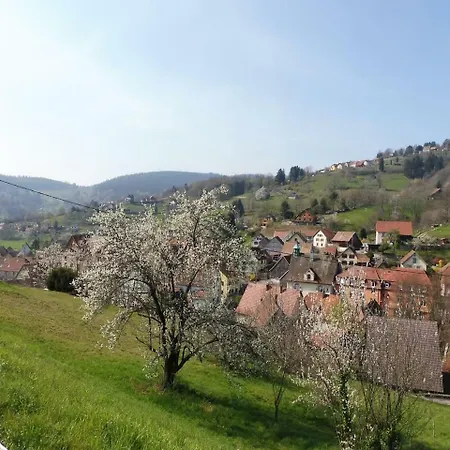 Chalet Le Du Tanet Sauna Terrasse En Alsace