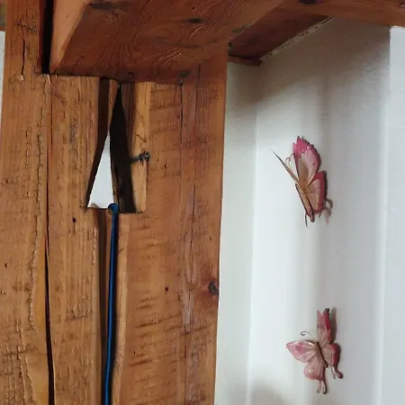 シャレー Le Du Tanet Sauna Terrasse En Alsace Soultzeren