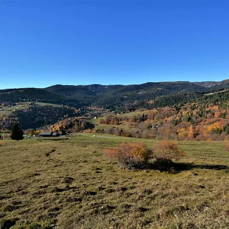 Chalet Le Du Tanet Sauna Terrasse En Alsace *