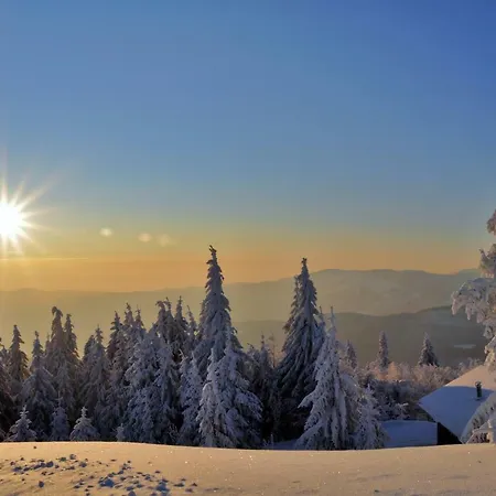 Le Du Tanet Sauna Terrasse En Alsace Soultzeren