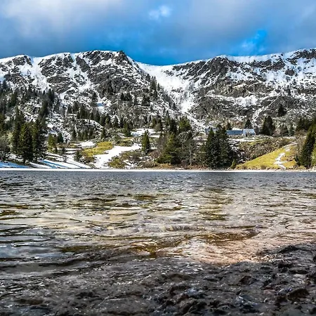 Le Du Tanet Sauna Terrasse En Alsace シャレー