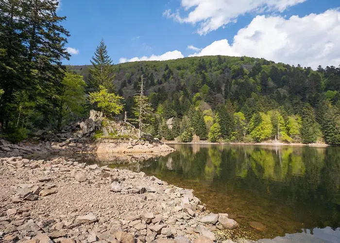 Chalet Le Du Tanet Sauna Terrasse En Alsace *