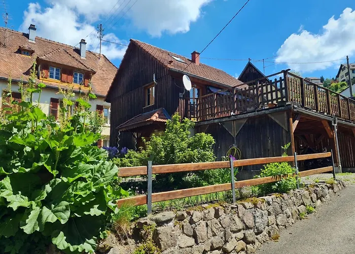 Chalet Le Du Tanet Sauna Terrasse En Alsace *