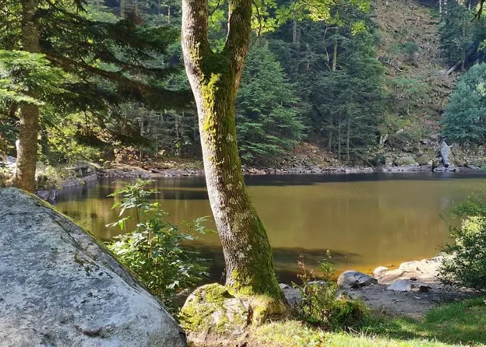 Chalet Le Du Tanet Sauna Terrasse En Alsace Soultzeren