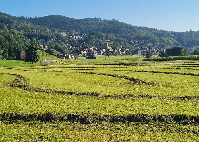 Chalet Le Du Tanet Sauna Terrasse En Alsace *