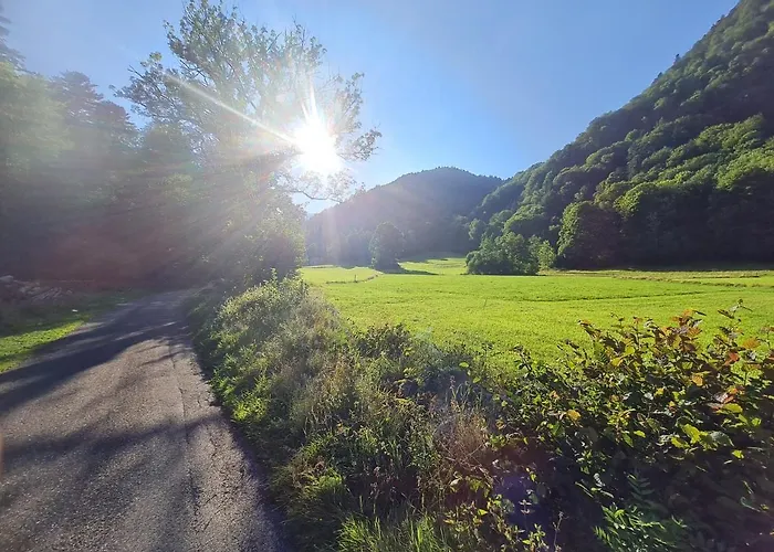 Le Du Tanet Sauna Terrasse En Alsace Soultzeren