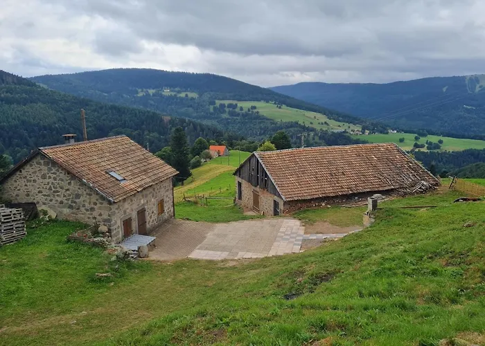 Le Du Tanet Sauna Terrasse En Alsace Chalet