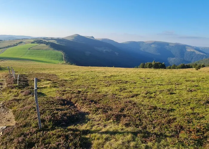Le Du Tanet Sauna Terrasse En Alsace *