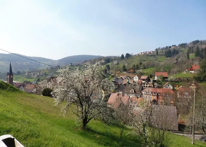 Chalet Le Du Tanet Sauna Terrasse En Alsace