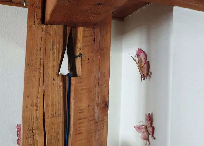 Chalet Le Du Tanet Sauna Terrasse En Alsace Soultzeren