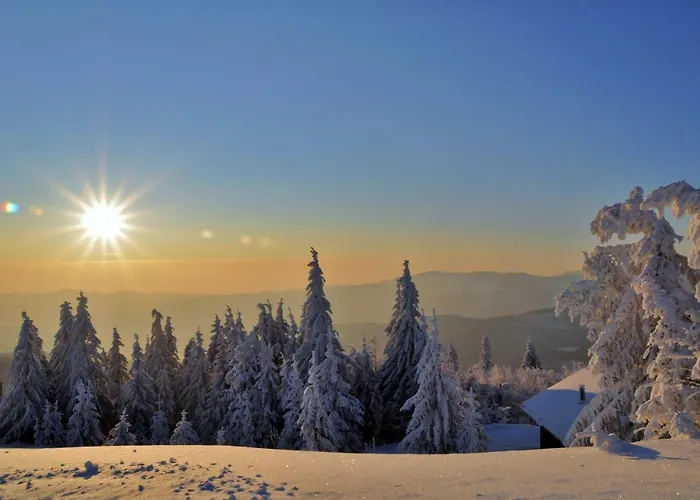 Le Du Tanet Sauna Terrasse En Alsace Soultzeren