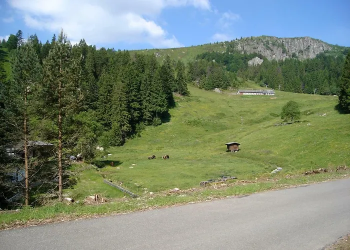 Le Du Tanet Sauna Terrasse En Alsace